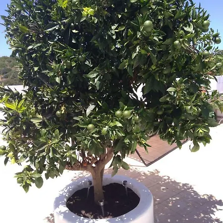Apartamento Almádena Home *